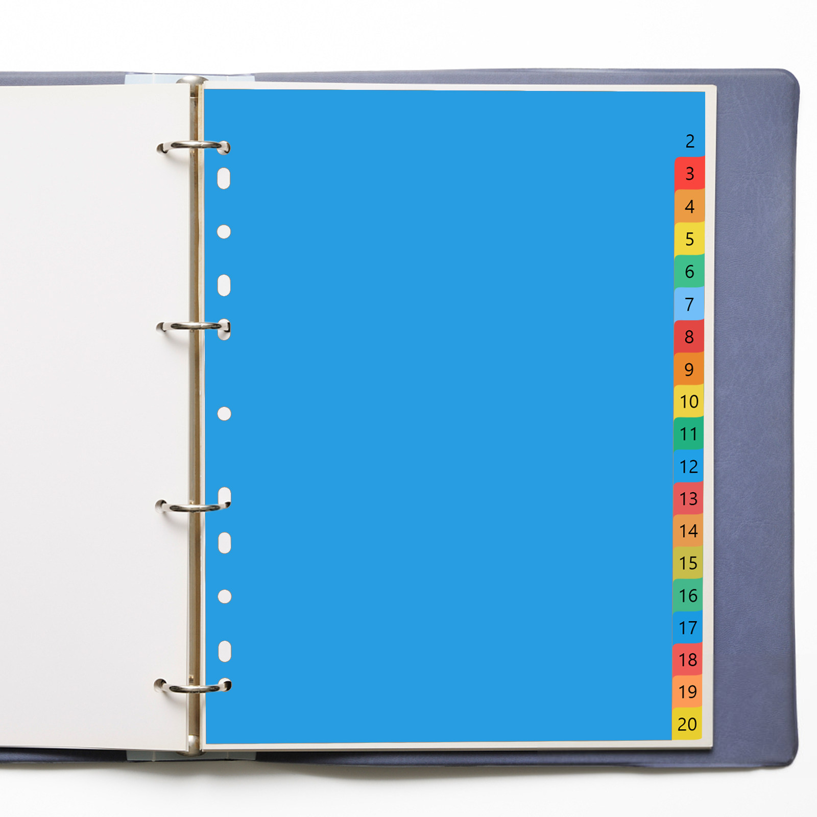 Tab Divider A4 - 20ページA4カラフルプラスチックタブディバイダー、インデックスラベル、バインダーやノートの整理、書類の迅速な参照、学習作業用