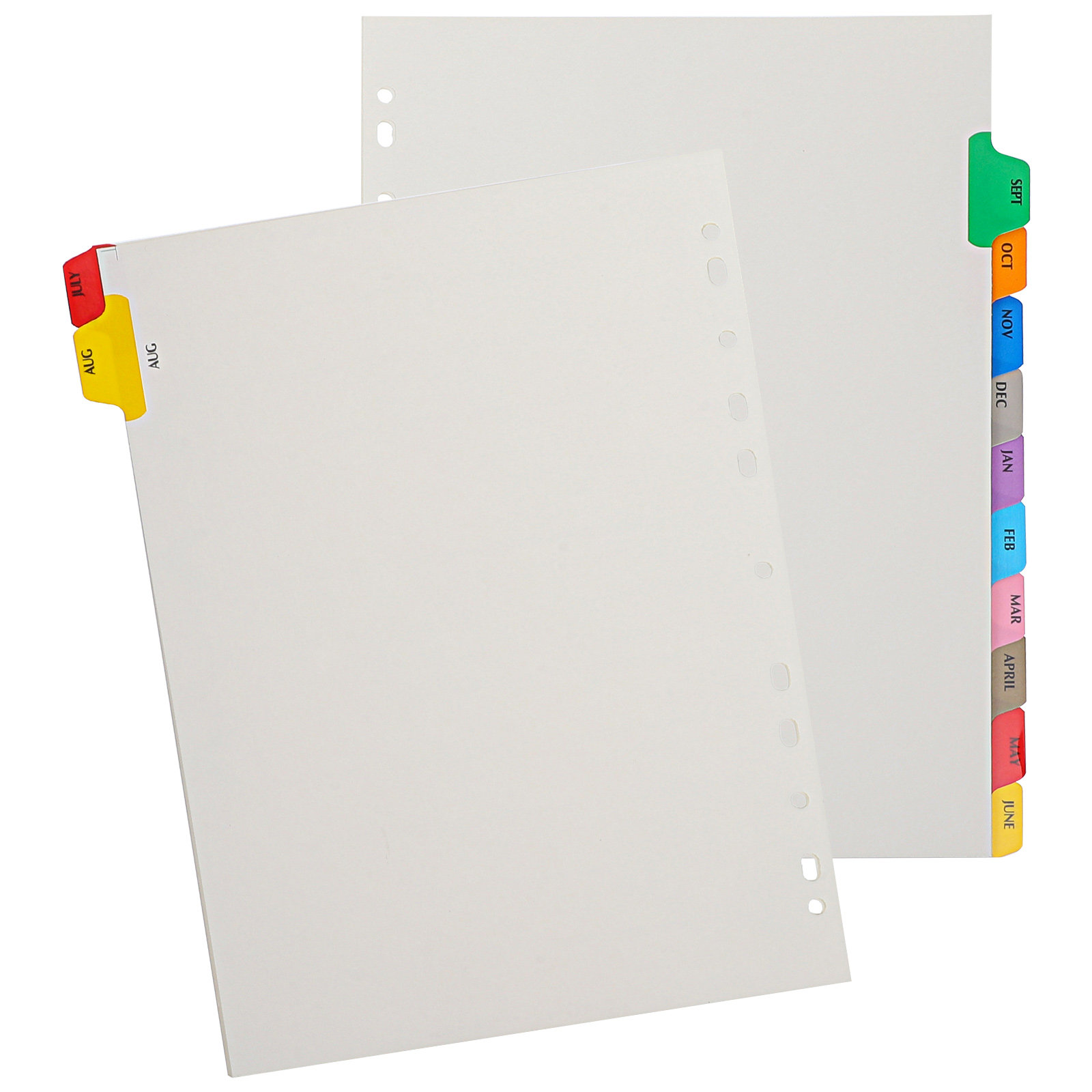 12枚入りインデックスバインダーディバイダー、取り外し可能な - Tab Divider A4 のレビューと価格